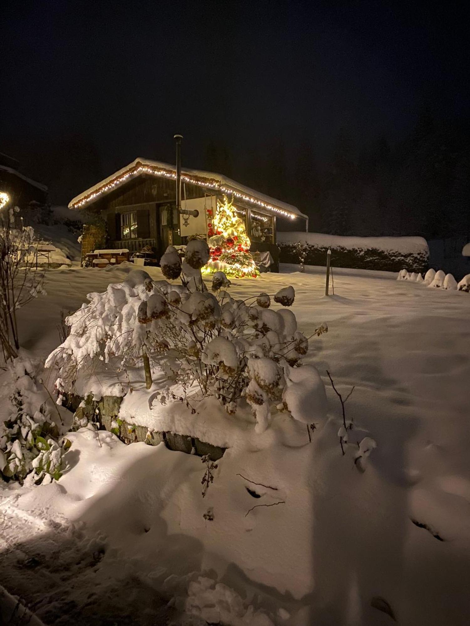 Das Alte Forsthaus Spiegelhuette Lindberg Bagian luar foto