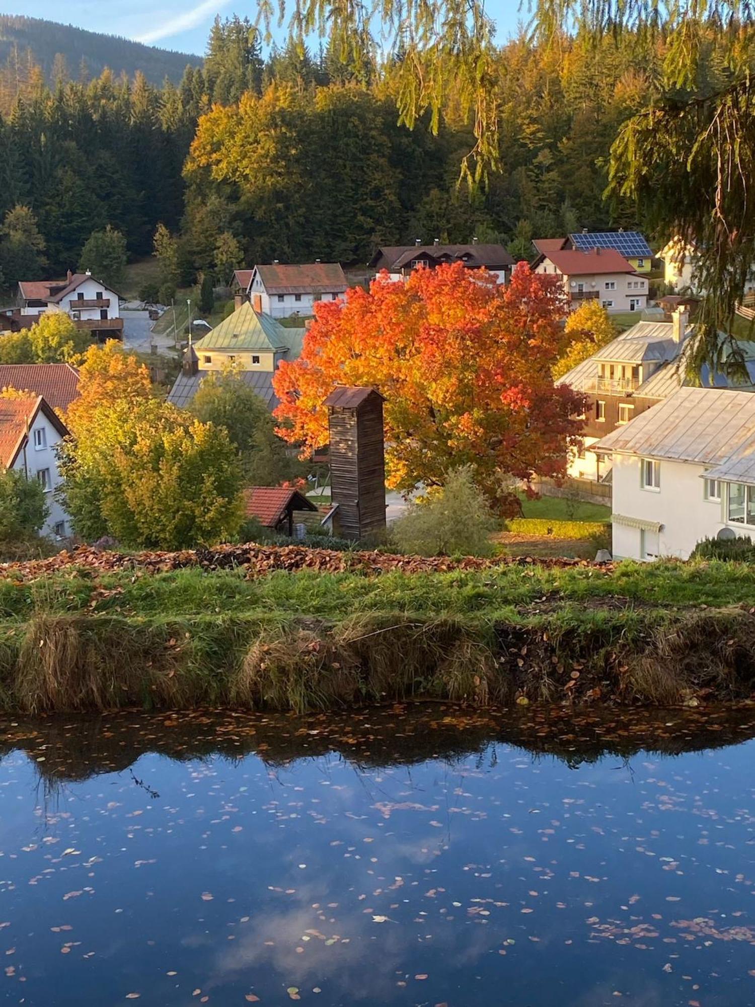 Das Alte Forsthaus Spiegelhuette Lindberg Bagian luar foto