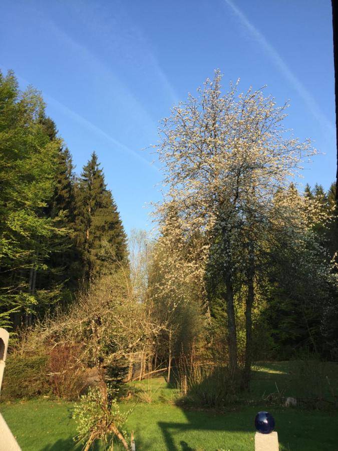 Das Alte Forsthaus Spiegelhuette Lindberg Bagian luar foto